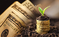 黄金与美股齐涨50年难遇，机构预测分歧明显